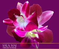 Orchidee Sala Mai Thai-Massage in Waiblingen